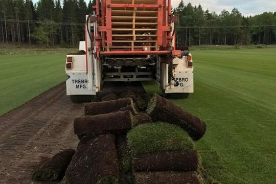 det-ar-inte-alltid-det-gar-smartfritt-upptagning-i-denna-ljuvliga-varme-ar-inte.jpg Det är inte alltid det går smärtfritt Upptagning i denna ljuvliga värme är inte…