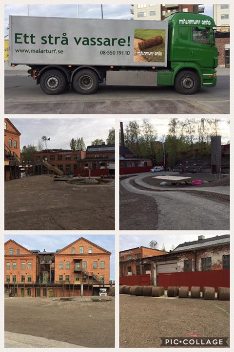 Bakom ett rött plank i Södertälje växer det fram en fantastiskt fin trädgård och…
