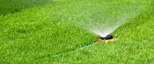 Tips nr. 5 Bevattning! Vatten är grunden till allt liv! Sår du din gräsmatta…