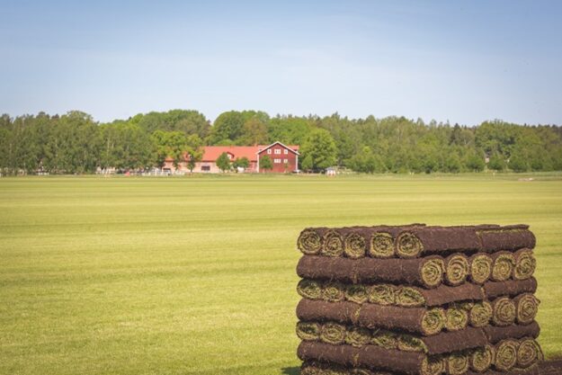 Våra gräsmattor odlas här hos oss på Nygård i Taxinge mellan Strängnäs och Södertälje🇸🇪…