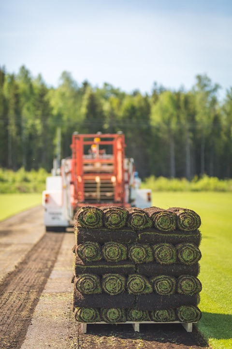 Ulrika finns på kontoret imorgon lördag och har tro det eller ej 50m² gräs…