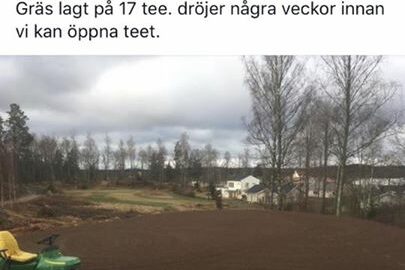 Kul att vi kan följa våra gräsmattor på Facebook️️‍️