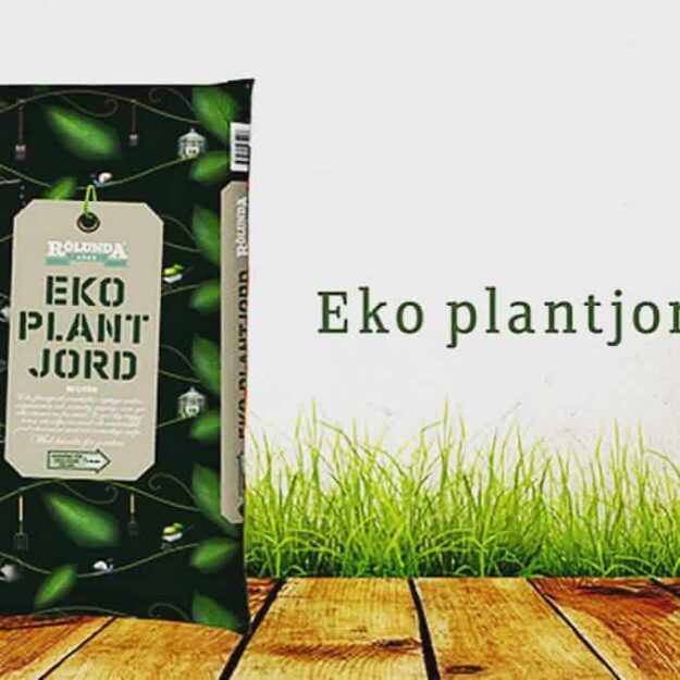 L Ö R D A G S Ö P P E T Vill ni…