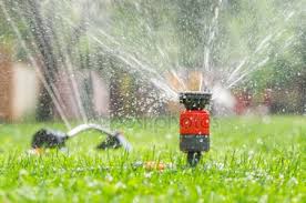 V A T T N I N G Kom ihåg att gräset behöver väldigt…