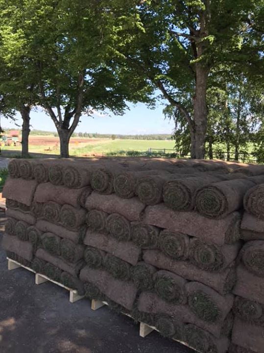 ️ Trevlig helg️ Öppet imorgon lördag 9-12, behöver ni gräs finns fortfarande chansen att…