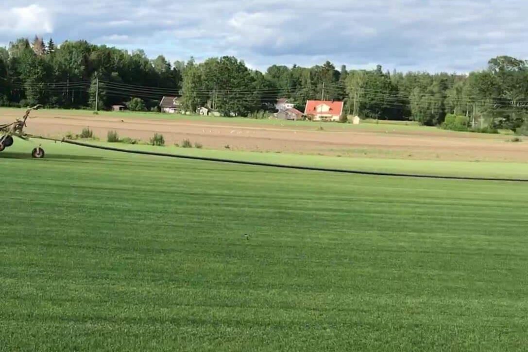 Bevattningen på väg ut igen igår fick den vila men nu är det dags…