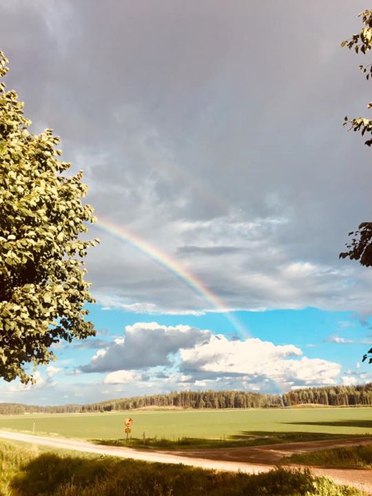 Måndag och vi går in i juli månad! Sett med en gräsodlares ögon ser…