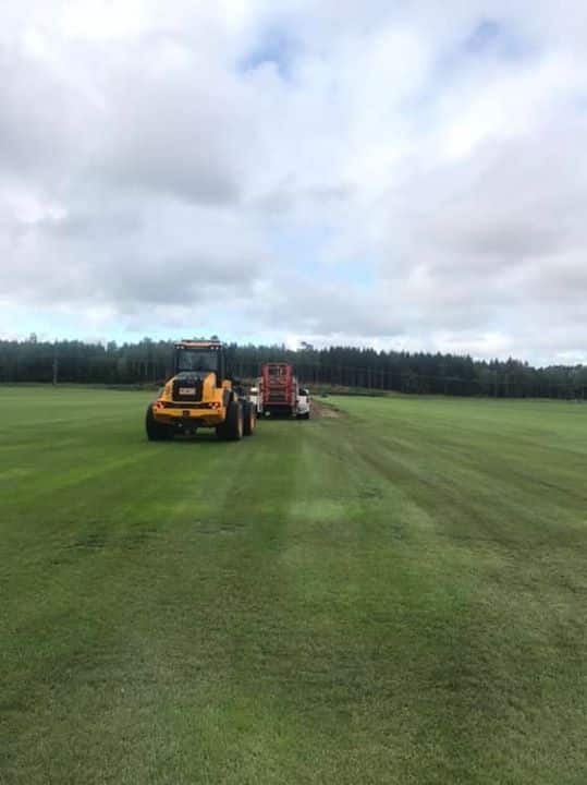 Viket gräsväder️