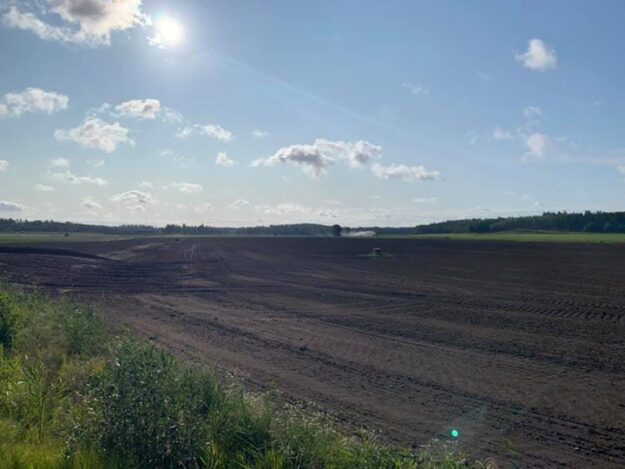 Nu börjar vi bli redo för sådd av både gräsmattor och raps, regn får…