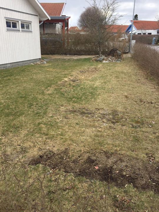 Idag har vi varit hemma hos en kund som behövde lite tips och råd!…
