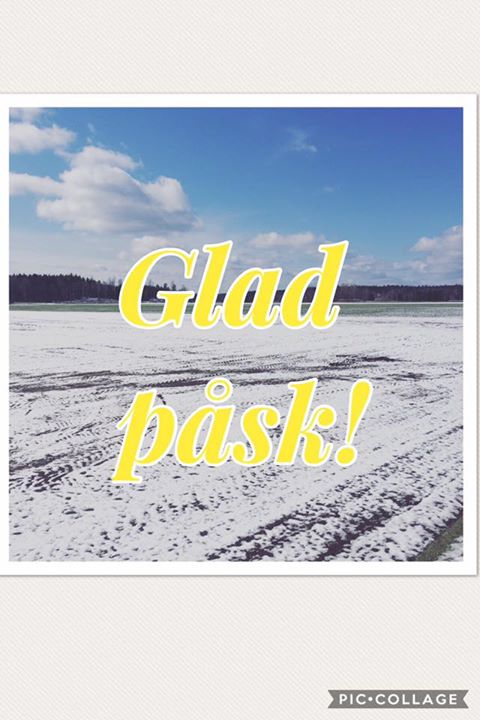 Kanske inte riktigt vad vi väntat oss, -9 grader och snöiga gräsmattor men det…