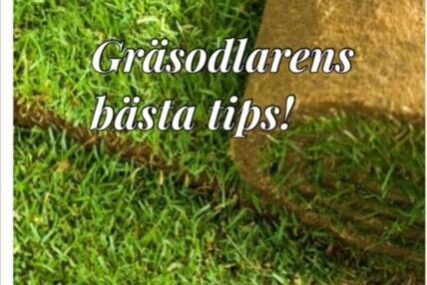 nu-ar-solen-och-varmen-har-sa-har-kommer-grasodlarens-forsta-tips-nr-1.jpg Nu är solen och värmen här så här kommer gräsodlarens första tips! Nr 1…
