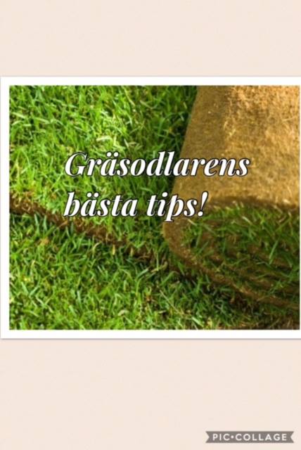 Nu är solen och värmen här så här kommer gräsodlarens första tips! Nr 1…