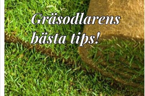 Nästa vecka börjar vi dela med oss av våra tips bland annat kring hur…