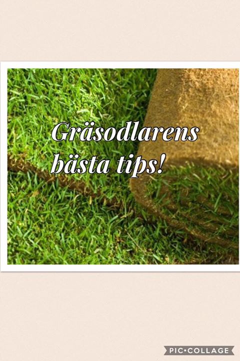 Nästa vecka börjar vi dela med oss av våra tips bland annat kring hur…