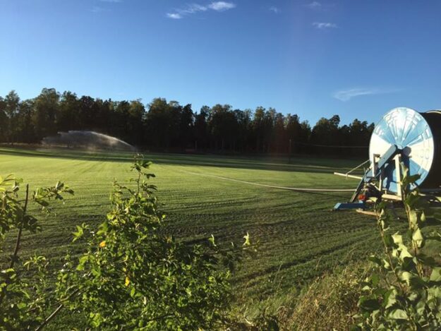 Sol och vackert väder då får bevattningen gå️