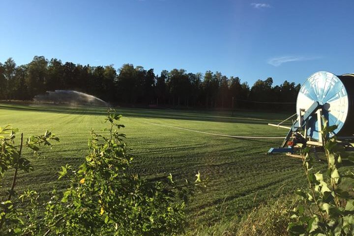Sol och vackert väder då får bevattningen gå️