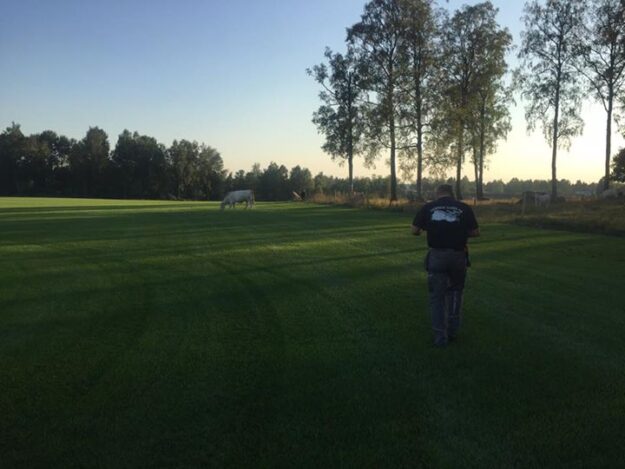 Gräsodlarn är ute och tittar till sina nya ekologiska gräsklippare