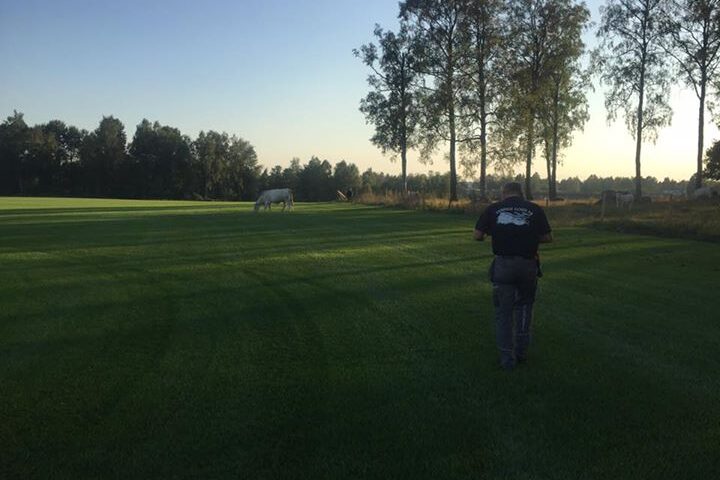 Gräsodlarn är ute och tittar till sina nya ekologiska gräsklippare