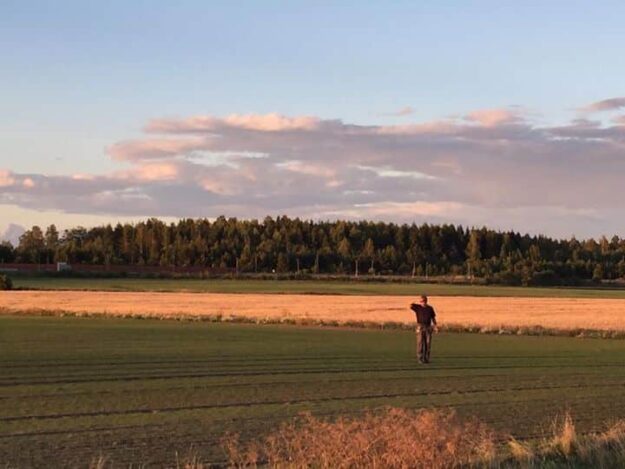 Bättre markfukt vid sådd gör att den här nysådden tagit sig ännu bättre