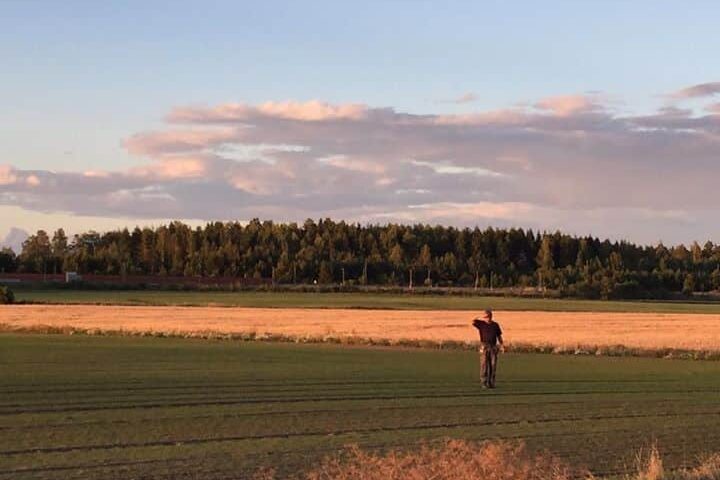 Bättre markfukt vid sådd gör att den här nysådden tagit sig ännu bättre