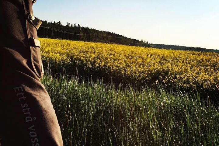 Mälarturf AB updated their cover photo