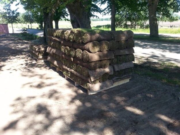 Trött på att ligga stilla i solen och sugen på att få tomten grön…