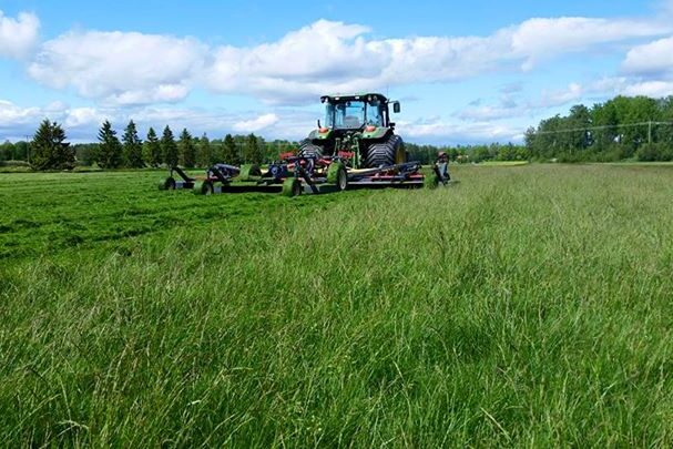 Bövelen så det växer! Den här gräsmattan har vi lämnat oklippt i ca 1,5…