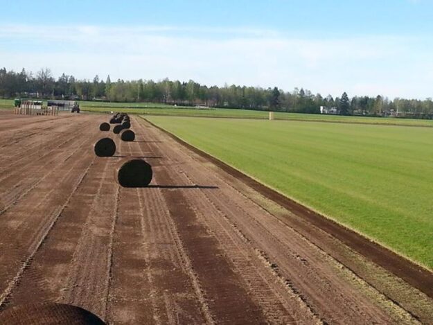 Upptagning av storrulle för leverans till Steninge slott imorgon!