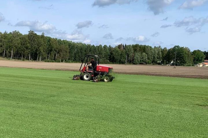 Varmt och fuktigt då växer det ordentligt så idag går flera klippare